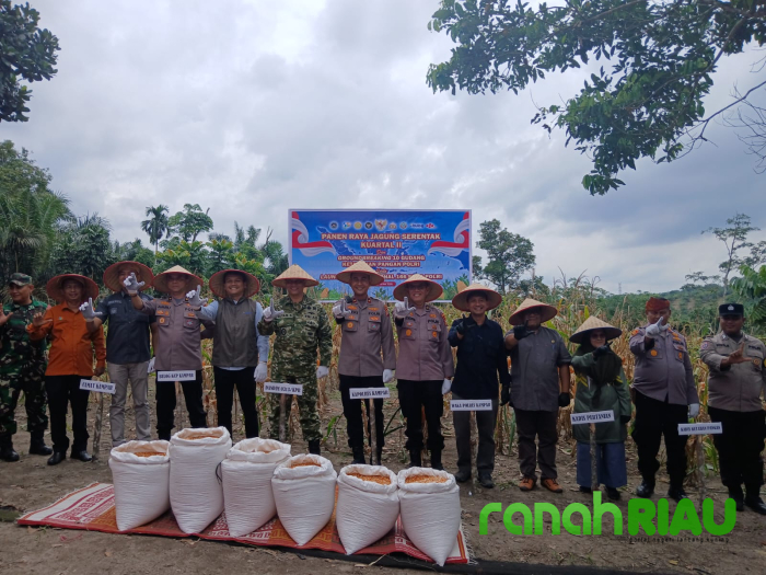 Polsek Kampar Bersama Polres Kampar Gelar Panen Jagung Serentak di Desa Ranah Singkuang