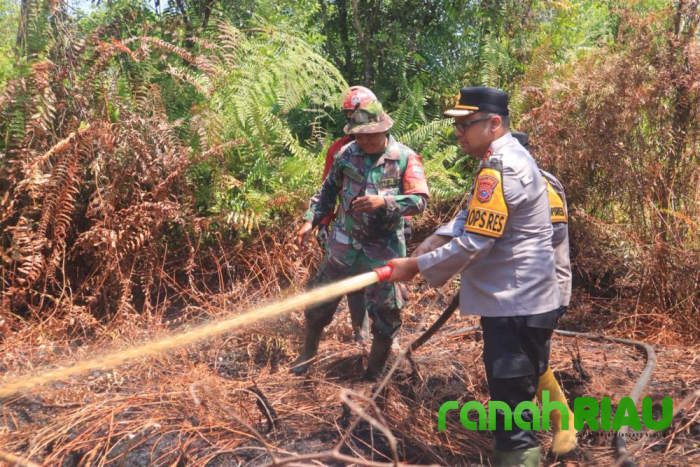 Tujuh Hektar Lahan Gambut di Rimbo Panjang Terbakar, Pemilik Lahan masih Misterius
