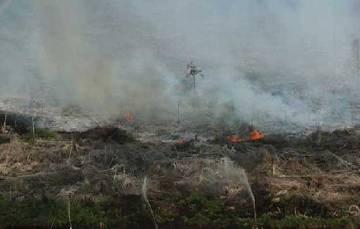 Awal 2017, Riau Sudah Berstatus Siaga Darurat Karhutla