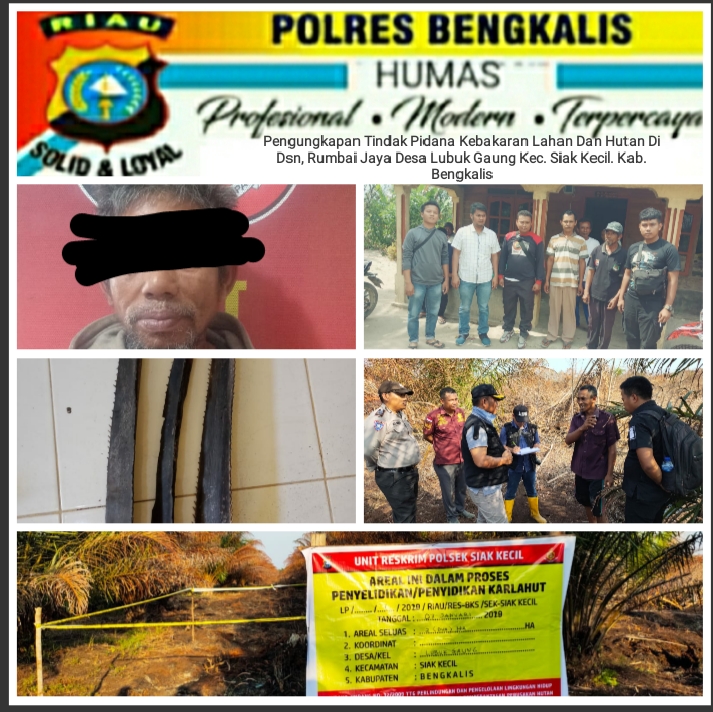 Warga Aek Kanopan (Sumut) Juman, Jadi Tersangka KARLAHUT Polres Bengkalis