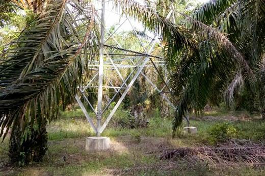 Proyek Pemasangan Tower SUTT di Rohul menuai Polemik, Warga Protes
