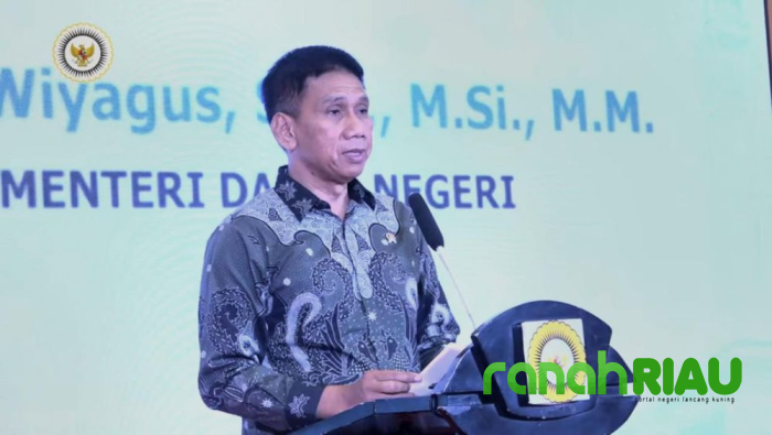 Sinergi Pusat dan Daerah jadi Kunci Wujudkan Pemerintahan Efisien