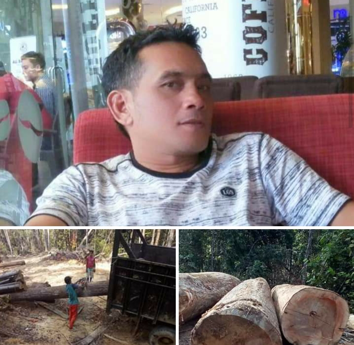 Praktisi Hukum Di Kuansing Geram,  Pelaku Pembalakan Liar Di Hutan Lindung Belum Terungkap