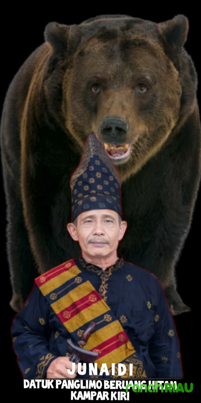 Datuk Panglimo Tinggi Beruang Hitam Kampar Kiri dukung Perjuangan Daerah Istimewa Riau