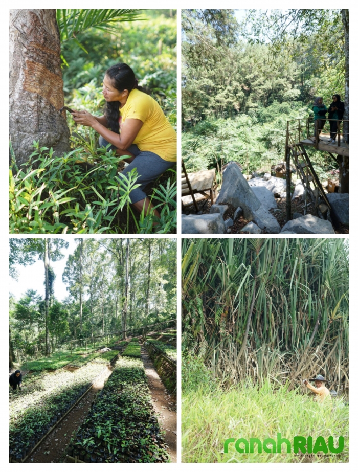 Kemitraan Konservasi: Pemimpin adalah kunci