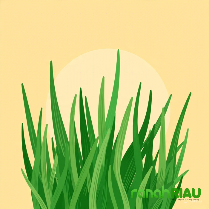 Puisi tentang Tumbuhan: Teka teki rumput Teki karya Imas Mulyati