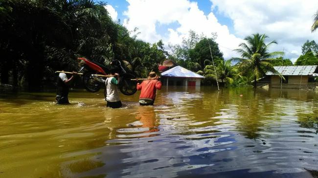 Sejumlah Kecamatan di Kuansing Terendam Banjir, Petani Terancam Gagal Panen