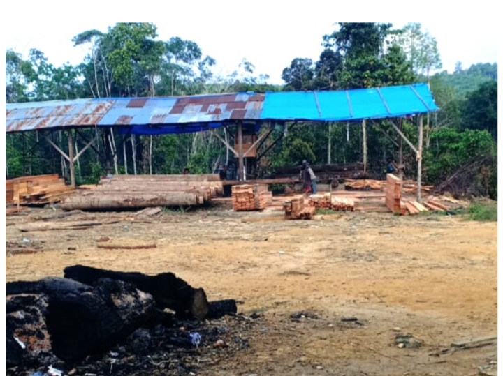 Sempat Terhenti, Kini Sawmil Disekitar Hutan Lindung Kembali Beroperasi