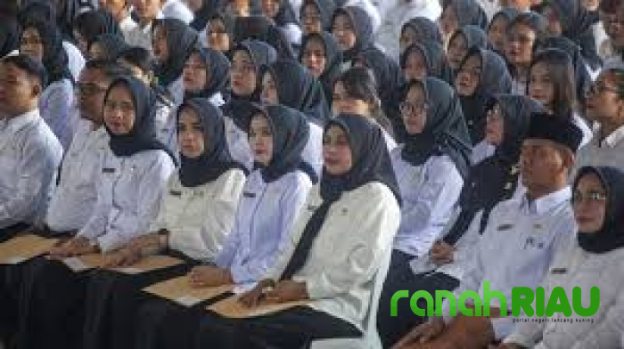 Non-ASN yang TMS Seleksi CPNS dan PPPK Tahap I Masih Bisa Ikuti Seleksi PPPK Tahap II