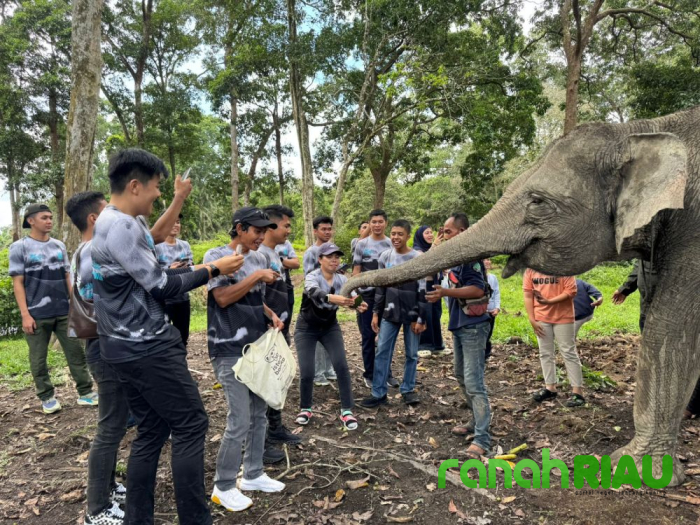 Dona, Gajah lahiran Buluh Cina Jadi Sorotan dalam Kunjungan Green Policing Runners