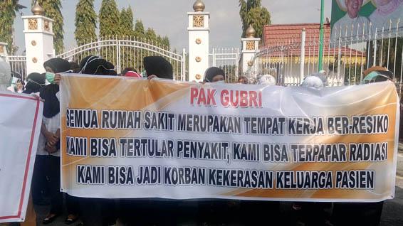 Karyawan RSUD AA dan RS Petalabumi Desa Revisi Pergub No.12/2016