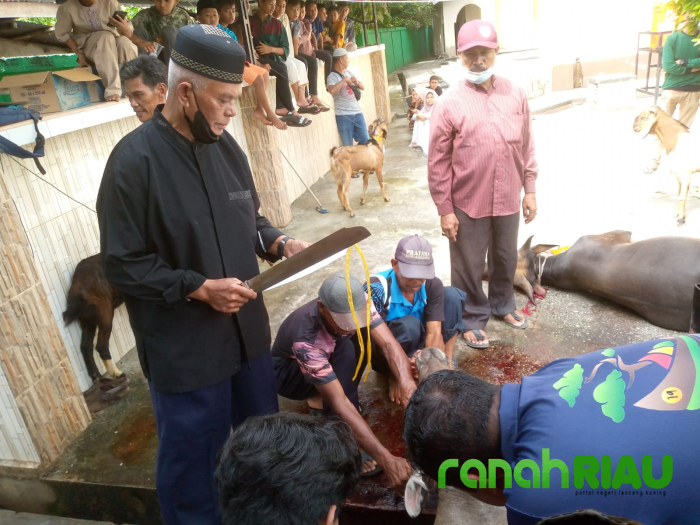 Usai Sholat Ied 1443 H, Masjid Al-Mubarak Sembelih 2 Ekor Sapi dan 8 Ekor Kambing
