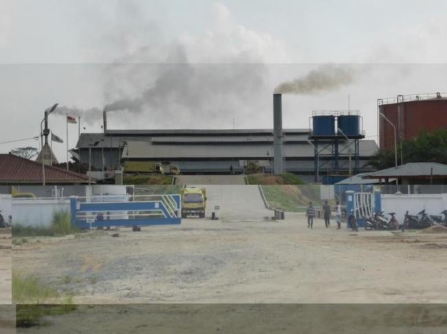 Tidak memiliki Pabrik sendiri, Perusahaan ini diduga ambil Pasokan dari Taman Nasional Tesso Nilo