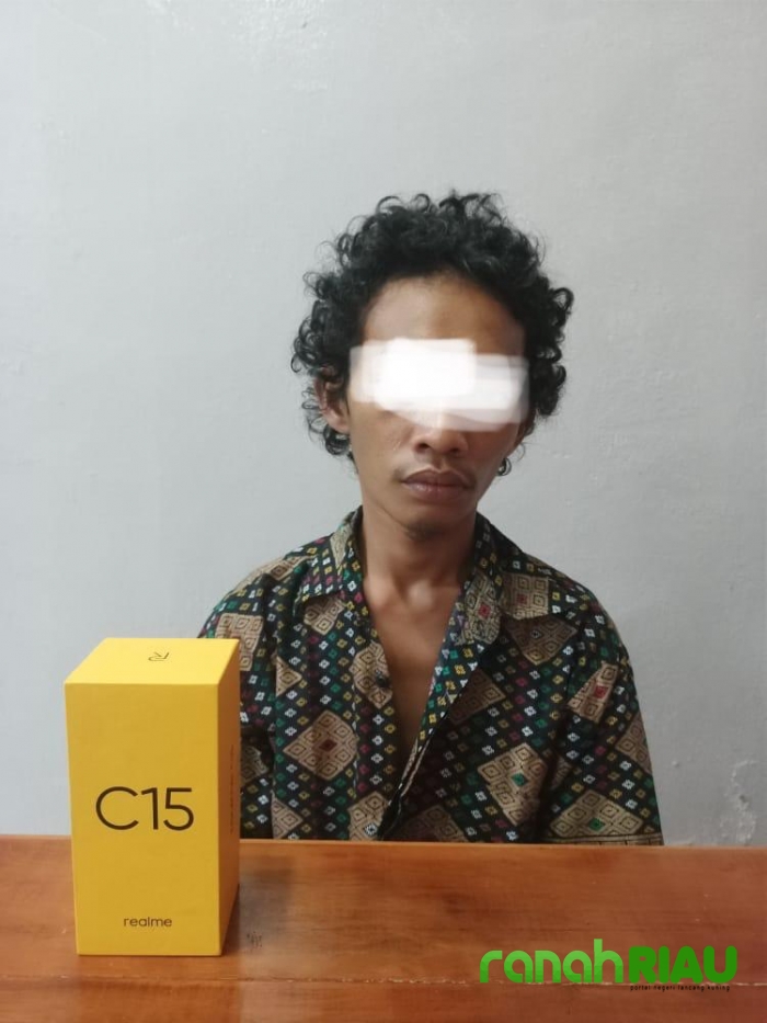 Modus Jual Chip Game Online, Seorang Remaja Lakukan TP Penggelapan di Tangkap Polisi