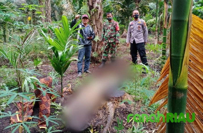 Wanita 51 Tahun Di Inhil Ditemukan Tak Bernyawa, Ironisnya Lagi Tanpa Busana 