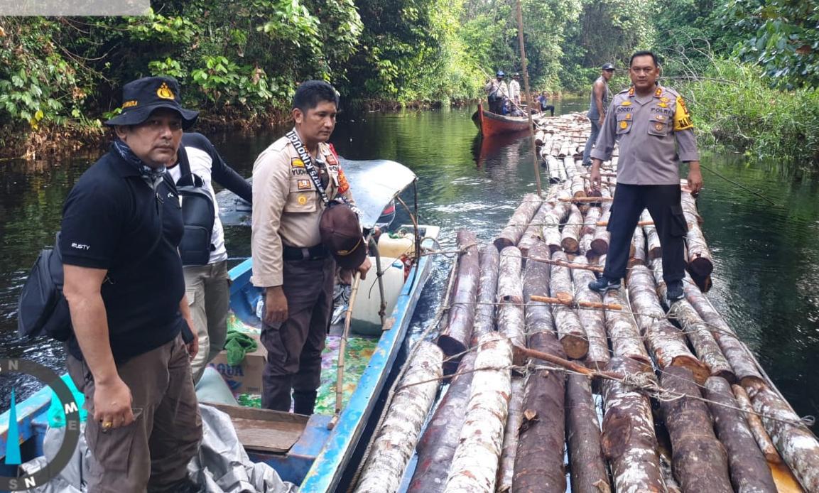 Polres Siak Selidiki Dugaan Tindak Pidana Ilegal Logging di Kampung Rawa Mekar Jaya