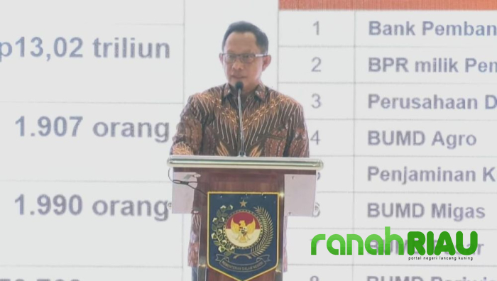 Mendagri Ingatkan Pemda se Indonesia, Cari Peluang Tingkatkan Pendapatan Daerah