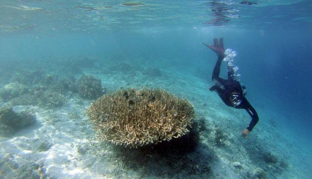 Sail Moyo Tambora Diniatkan Jadi Momentum Kebangkitan NTB 