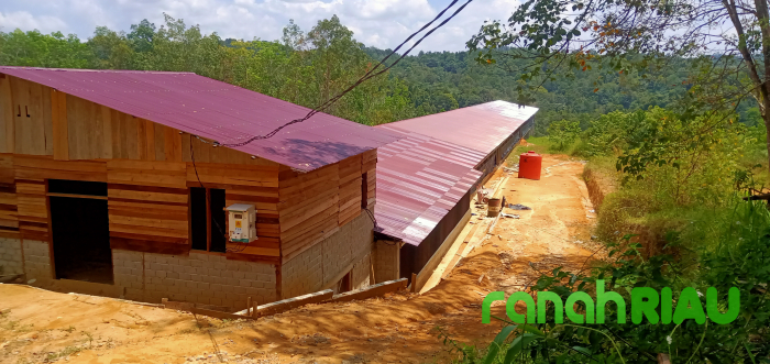 Waduh, Oknum Pejabat Kuansing Dirikan Kandang Ayam Berskala Besar di kawasan Hutan Lindung