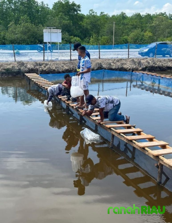 Manfaatkan lahan tambak TNI AL di Dorak, Posal Selatpanjang tebar bibit Ikan 