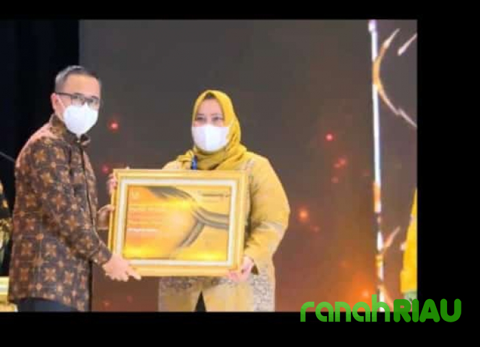 Bupati Bengkalis Terima Penghargaan dari Kemendagri