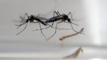 Pemkab INHU Canangkan Program Jumantik