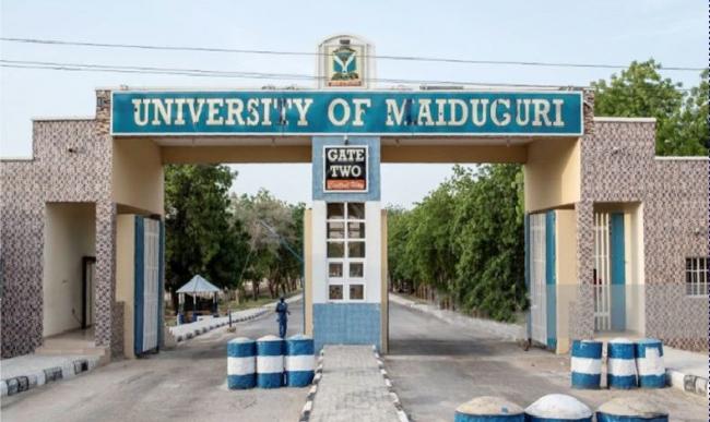 Bom Bunuh diri di Universitas Maiduguri
