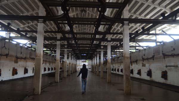 Pajak 10 Persen Bikin Rumah Potong Hewan Pekanbaru Sepi