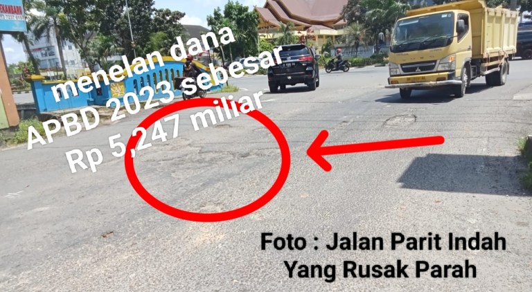 Kritisi Kadis PUPR Pekanbaru yang abaikan Jalan Rusak, PPRI: Lebih baik jadi Penjual Sayur aja