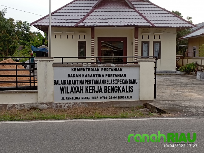 Tanpa Papan Plang, Diduga Proyek Siluman di Kantor Kementerian Karantina Pertanian Kelas I Pekanbaru