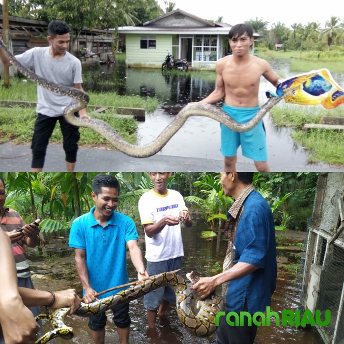 Kecamatan Bengkalis dan Bantan Diguyur Hujan, Puluhan Rumah Warga Terendam Banjir