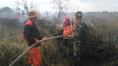 Di Inhu, Beberapa Desa Lahannya terbakar, Para Pejuang Pemadaman Ini Patut Diapresiasi