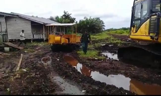 KLHK dan TNI OTT Pelaku Perambahan Hutan Di Siak Kecil