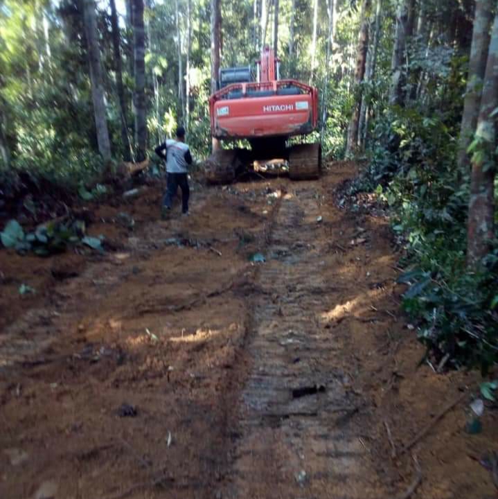 BPPH LHK, Akan Laporkan Aktivitas Pembalakan Liar Bukit Betabuh, ke Kemenhut