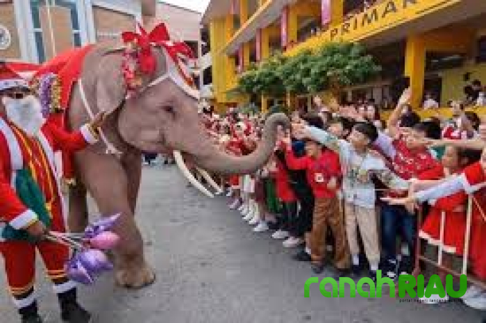 Parade Gajah Berkostum Santa Claus meriahkan Suasana Natal di Thailand