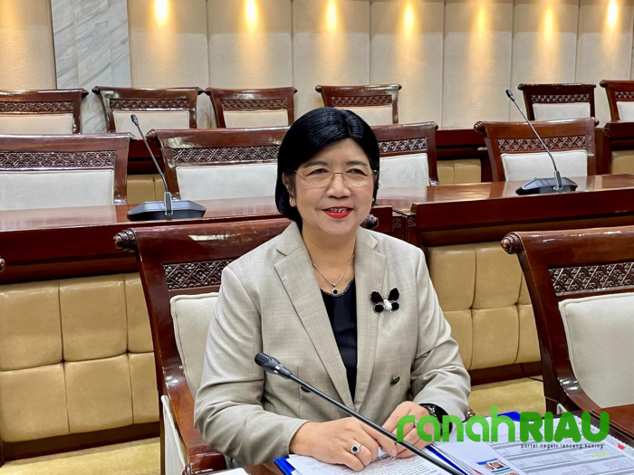 Destry Damayanti Segera Jadi Gubernur BI Perempuan Pertama, Komisi XI Tetapkan 3 Pimpinan