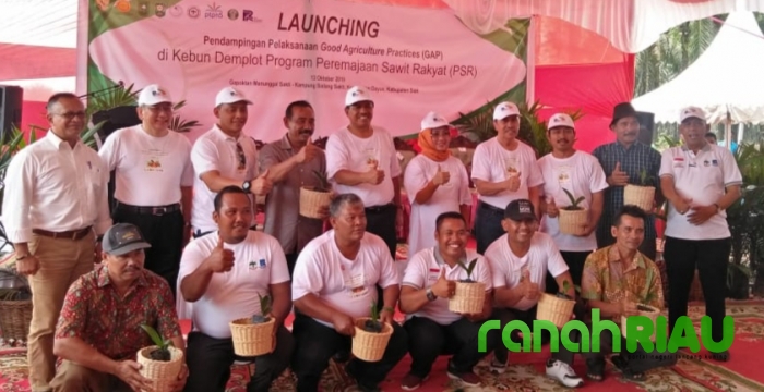 Gubernur Riau hadir dalam Launching program GAP di Siak