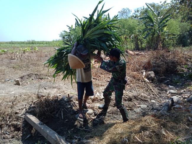  1 Ha Lahan Sawah Menghasilkan 8 Ton