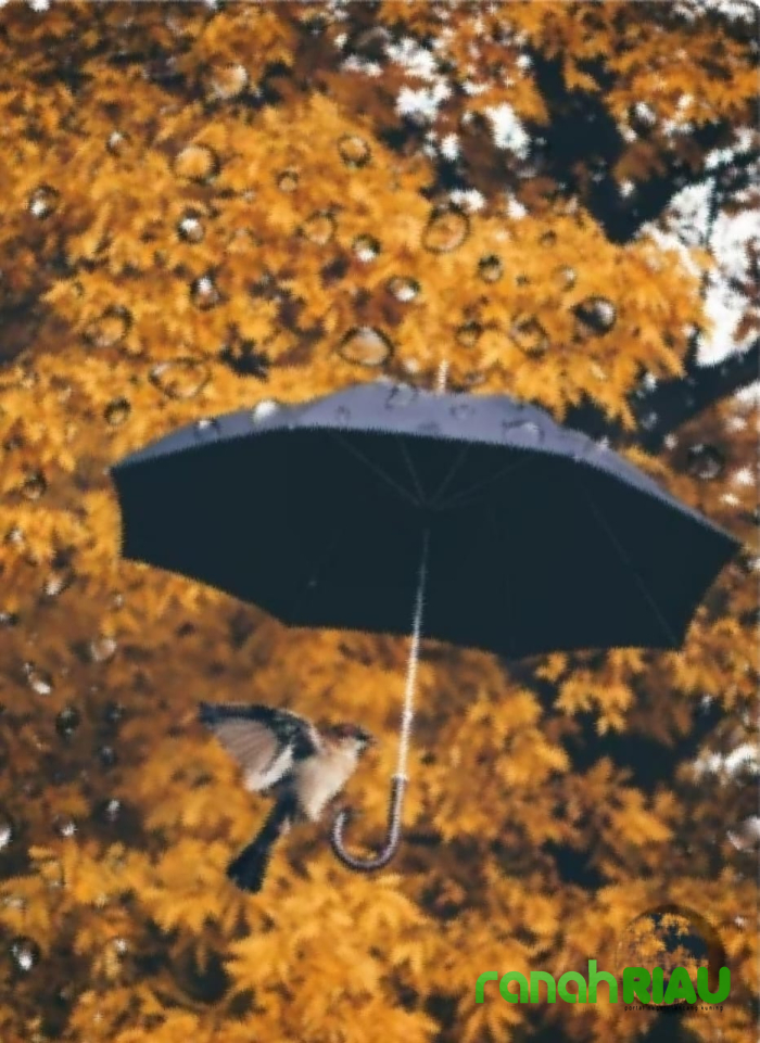 Puisi tentang Afirmasi: Jika Kau, Karya Setiabasa