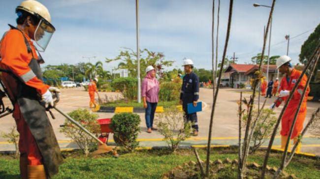 Jalin Kemitraan Dengan Indonesia, PT CPI Berikan Manfaat Bagi Masyarakat & Pendapatan Negara