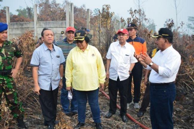 Menteri LHK Terus Pantau Perkembangan Karlahut di Riau