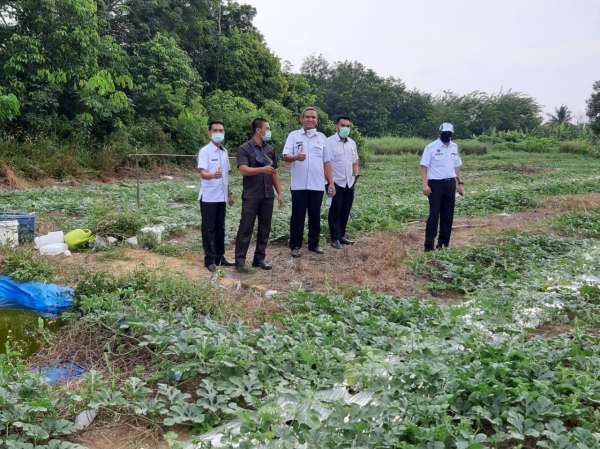 Amankan Aset, BPKAD Tinjau Lahan Pemko di Empat Titik
