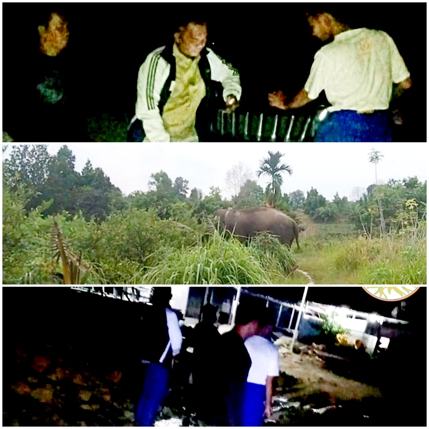 Gajah Solitaire CODET Menuju Jalan Rangau Dekat SPBU Rangau Duri