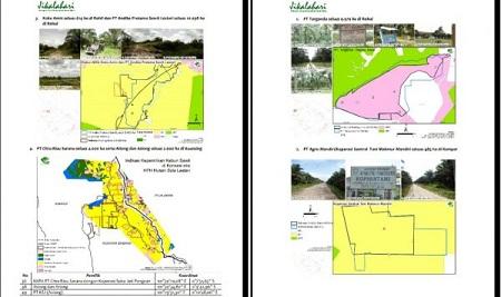 Jikalahari Bersama Eyes On The Forest Minta Mendagri Batalkan Ranperda RTRWP Riau, Ini Alasannya...
