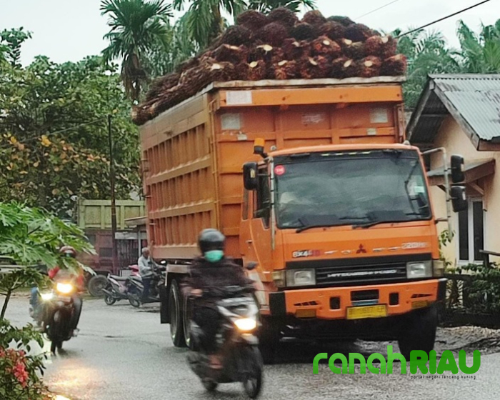 Ruas Jalan Rusak, Keselamatan Pengendara Terancam Akibat Truk Melebihi Tonase