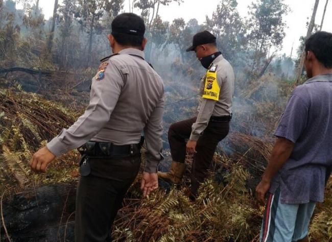 5 Hektare Lahan Untuk Ditanami Sawit di Tengah Kota Pekanbaru Terbakar
