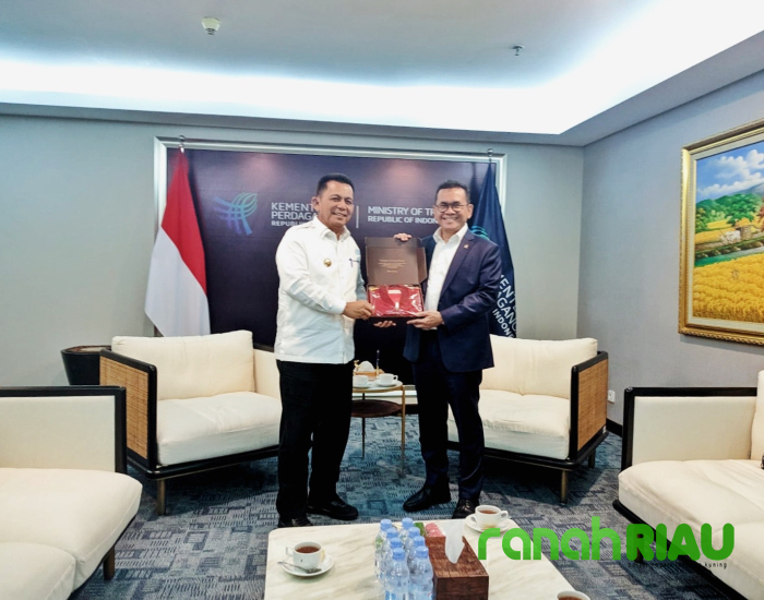 Gubernur Ansar Minta Mendag Dukung KEK, KPBPB dan Pasar Rakyat Di Kepri