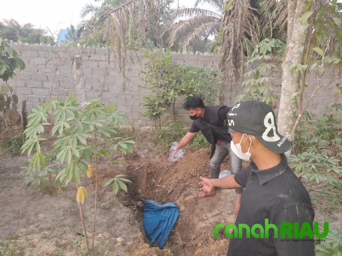 Geger di Perawang Barat! Warga Temukan Mayat Pria Misterius terkubur dalam Terpal di Kebun