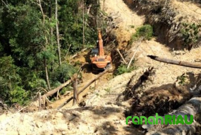 Hutan Lindung Terancam Gundul, Tokoh Masyarakat Air Buluh Minta Tangkap Pelaku