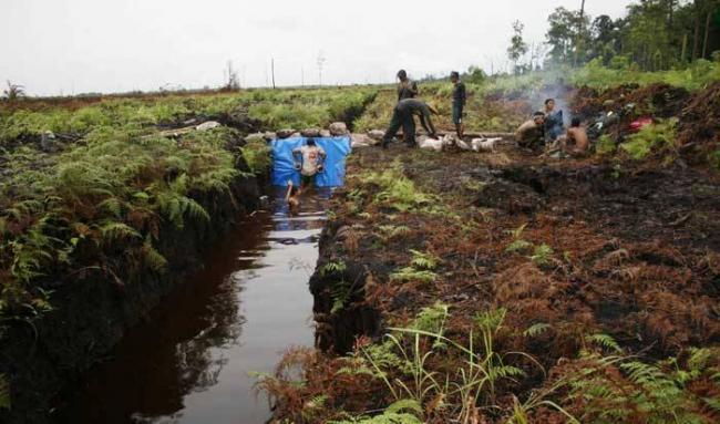 Waspadai Banjir di Lahan Gambut, Elviriadi : Banjir Lancang Kuning itu Metofora doa Nabi Nuh